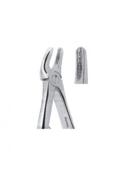 Extracting Forceps